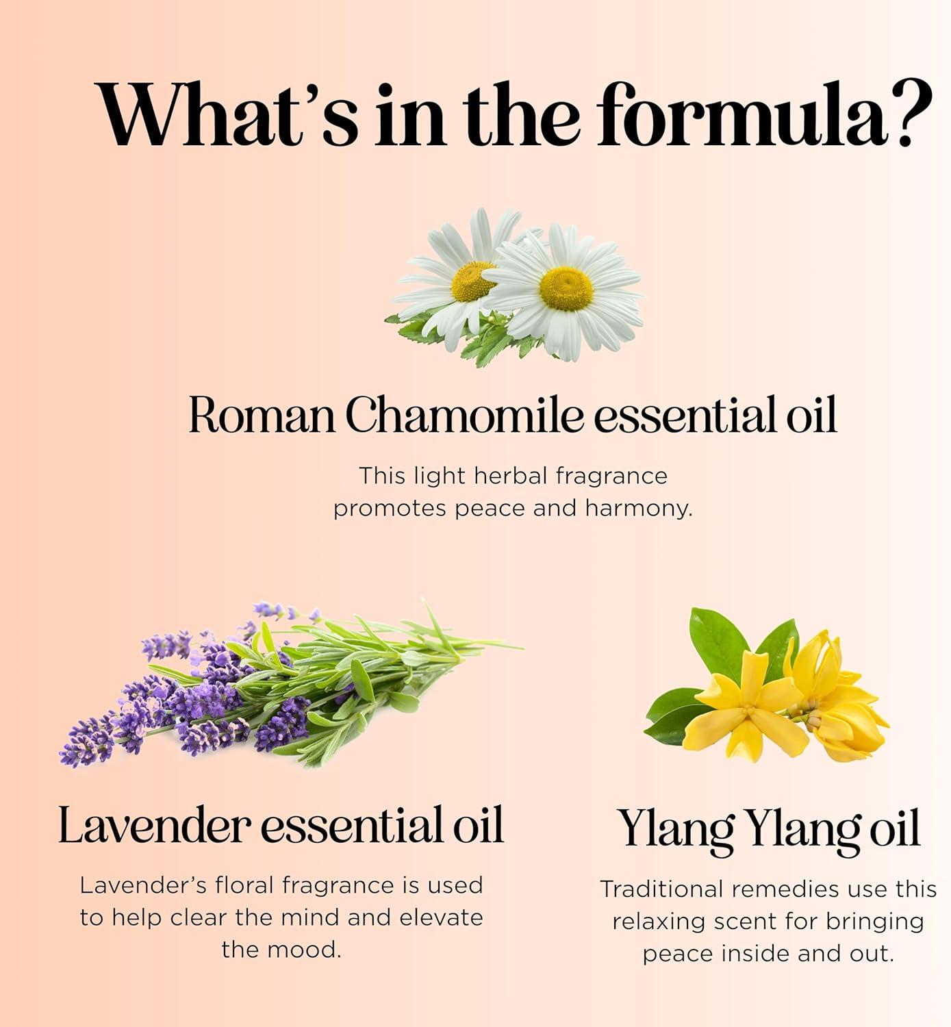 image:imageAromatherapy Roll on Essential Oils Set Wellness Essential Oils Set Variety Pack with Focus Uplift amp Breathe Essential Oil Rollers Fun amp Cute Wellness Gift for Young Women and Teens 3 PackRelax