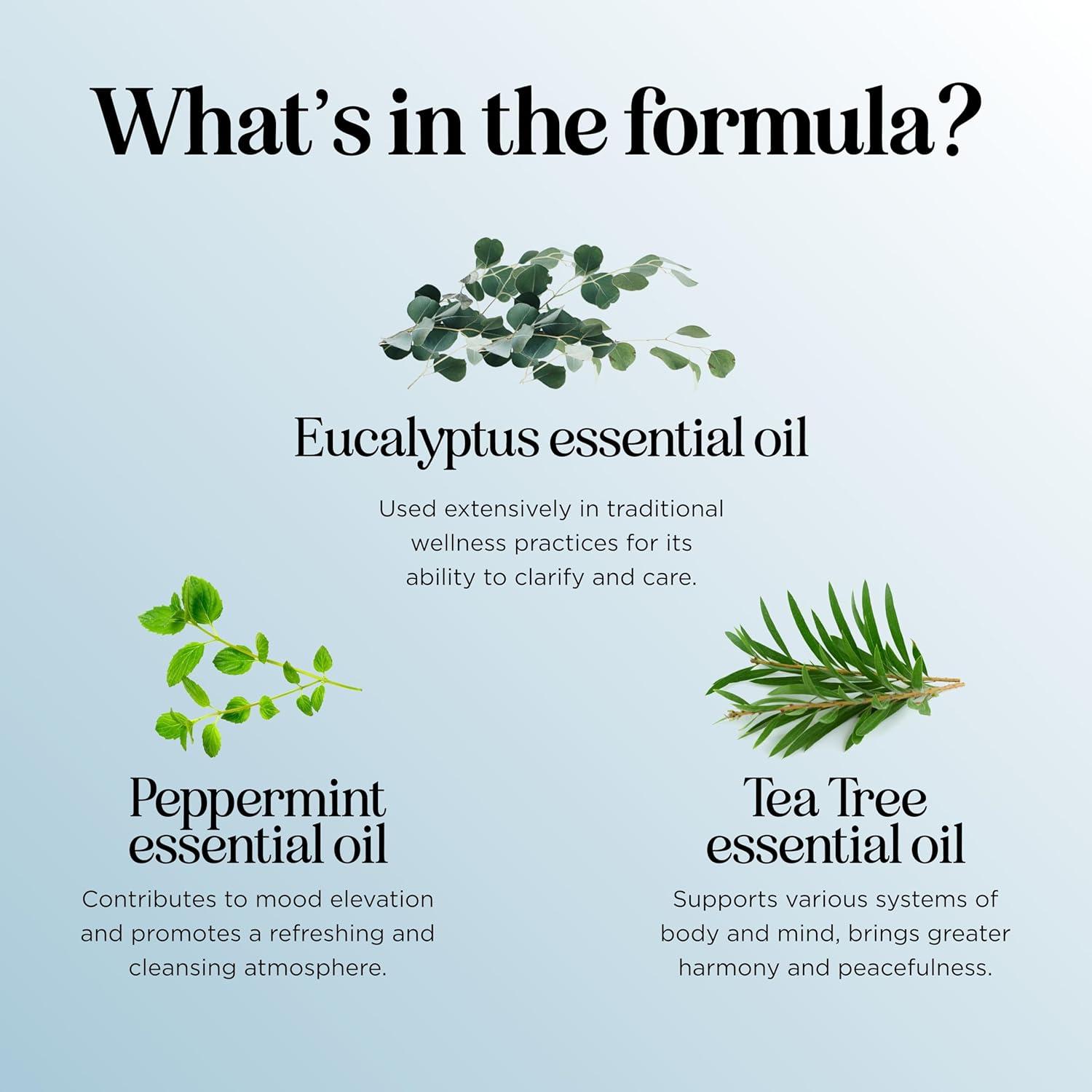 image:imageBreathe Essential Oil for Diffuser Invigorating and Refreshing Breathe Essential Oil Blend with Eucalyptus Peppermint Tea Tree and Mint for Diffusers for Home and Shower Aromatherapy 1 Fl OzBreathe