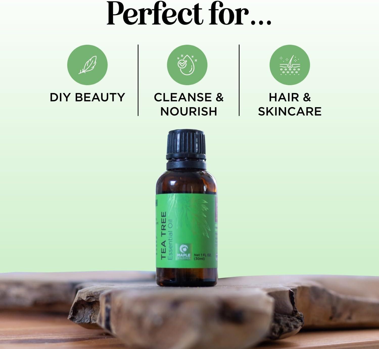 image:imageBreathe Essential Oil for Diffuser Invigorating and Refreshing Breathe Essential Oil Blend with Eucalyptus Peppermint Tea Tree and Mint for Diffusers for Home and Shower Aromatherapy 1 Fl OzTea Tree
