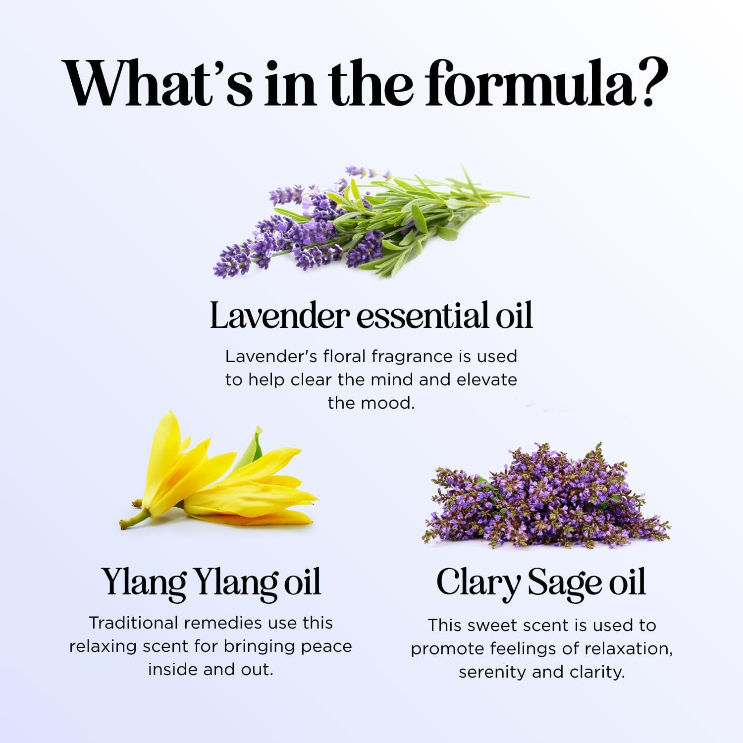 image:imageBreathe Essential Oil for Diffuser Invigorating and Refreshing Breathe Essential Oil Blend with Eucalyptus Peppermint Tea Tree and Mint for Diffusers for Home and Shower Aromatherapy 1 Fl OzDream