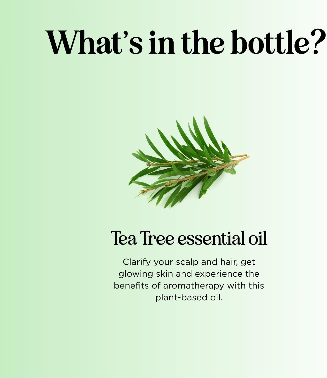 image:imageBreathe Essential Oil for Diffuser Invigorating and Refreshing Breathe Essential Oil Blend with Eucalyptus Peppermint Tea Tree and Mint for Diffusers for Home and Shower Aromatherapy 1 Fl OzTea Tree