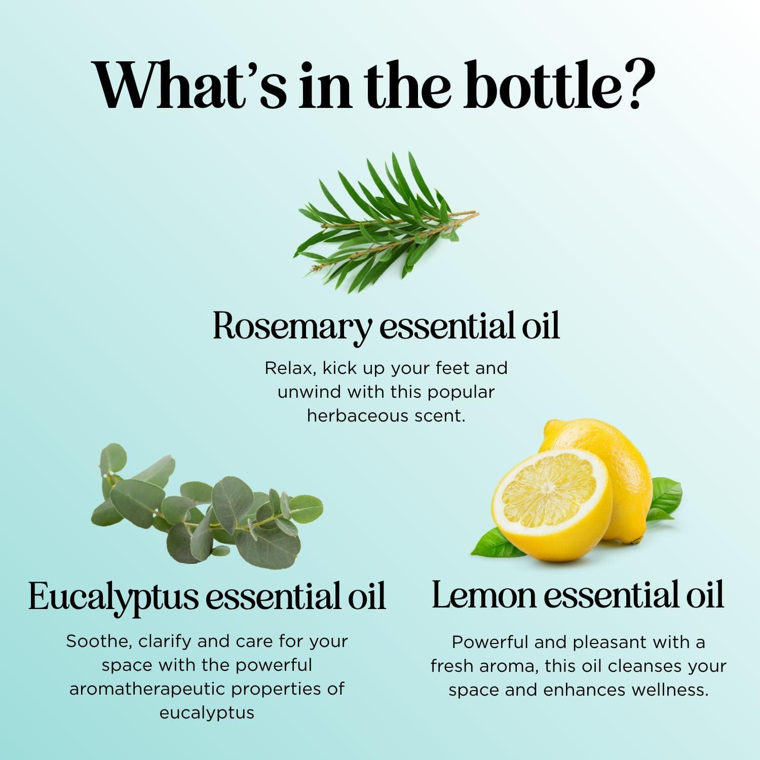 image:imageBreathe Essential Oil for Diffuser Invigorating and Refreshing Breathe Essential Oil Blend with Eucalyptus Peppermint Tea Tree and Mint for Diffusers for Home and Shower Aromatherapy 1 Fl OzProtect