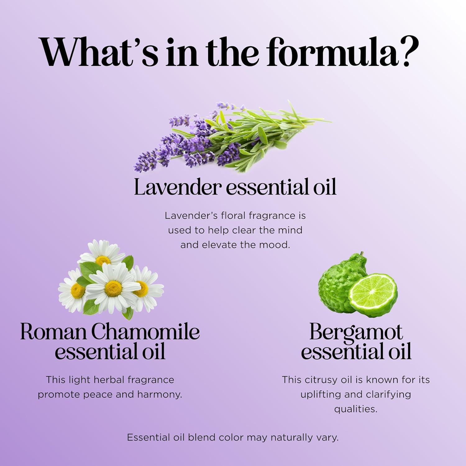 image:imageBreathe Essential Oil for Diffuser Invigorating and Refreshing Breathe Essential Oil Blend with Eucalyptus Peppermint Tea Tree and Mint for Diffusers for Home and Shower Aromatherapy 1 Fl OzSnooze