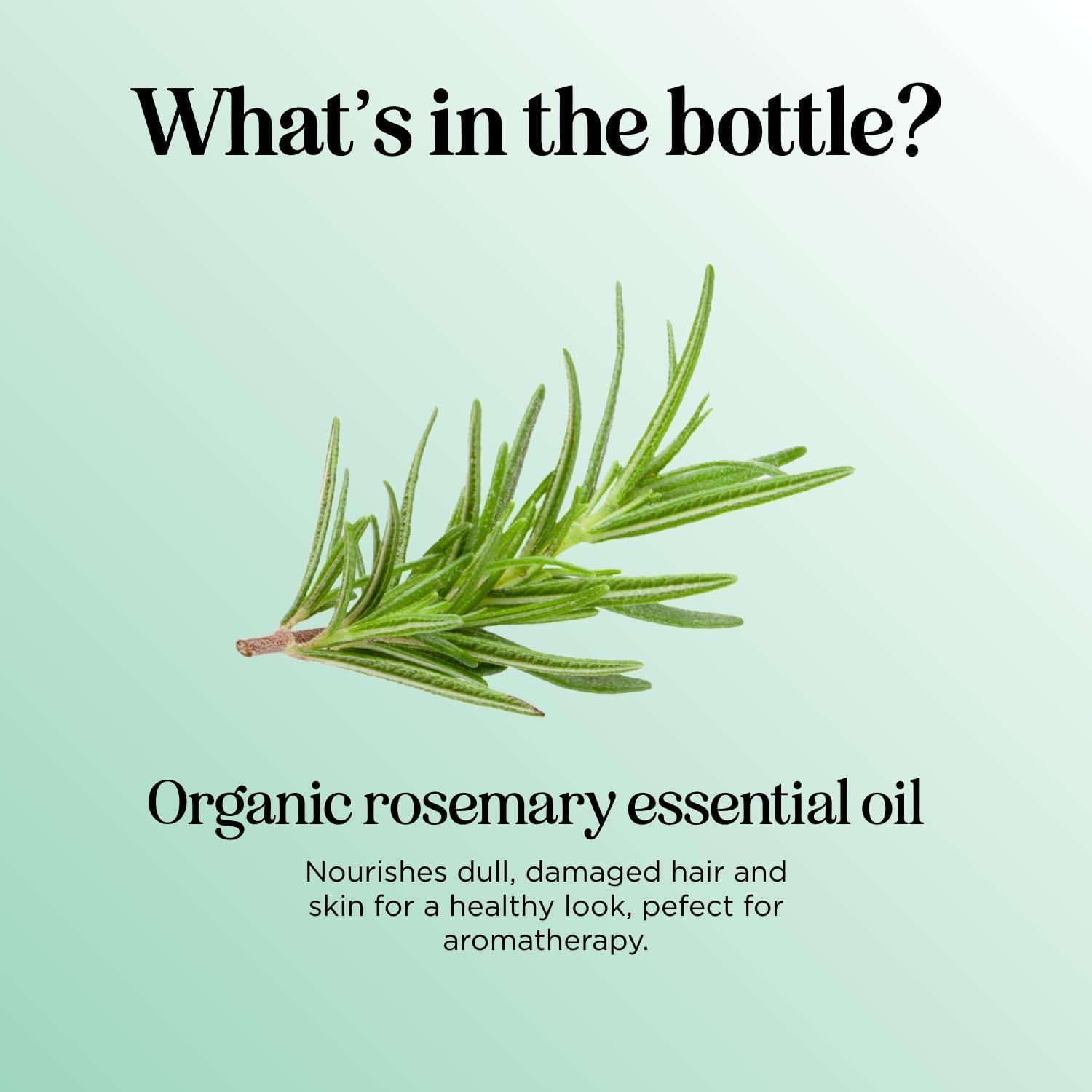 image:imageCertified Organic Rosemary Oil for Hair Extra Large 100 Pure USDA Organic Rosemary Essential Oil for Hair Skin and Nails Oil for Dry Scalp Treatment and Enhanced Volume and ShineRosemary
