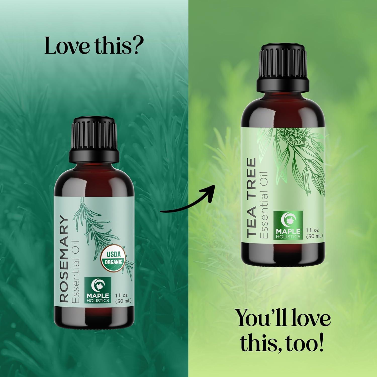 image:imageCertified Organic Rosemary Oil for Hair Extra Large 100 Pure USDA Organic Rosemary Essential Oil for Hair Skin and Nails Oil for Dry Scalp Treatment and Enhanced Volume and ShineRosemary