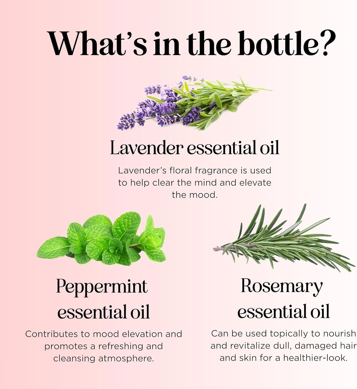 image:imageCitrus Essential Oils Blend for Diffuser Invigorating Citrus Oil Diffuser Essential Oils with Energizing Lemon Orange and Lime Essential Oil Pure Aromatherapy Oils for Diffuser Citrus Blend OilClarify