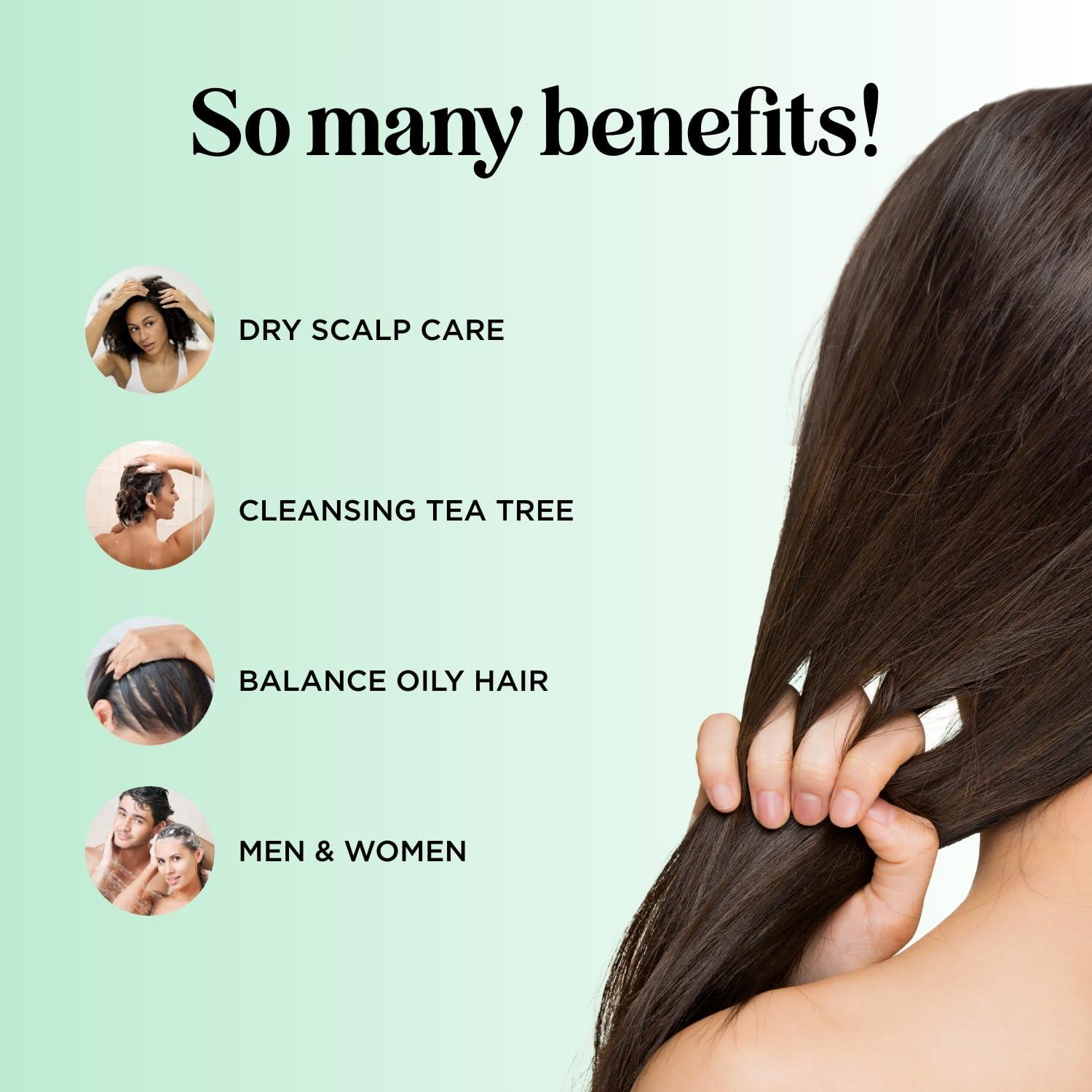 image:imageClarifying Shampoo for Oily Hair and Scalp Deep Cleansing Shampoo Build Up Remover with Rosemary Oil Degrease Shampoo for Greasy Hair amp Scalp Vegan Color Safe Sulfate amp Paraben Free 2 PackCitrus