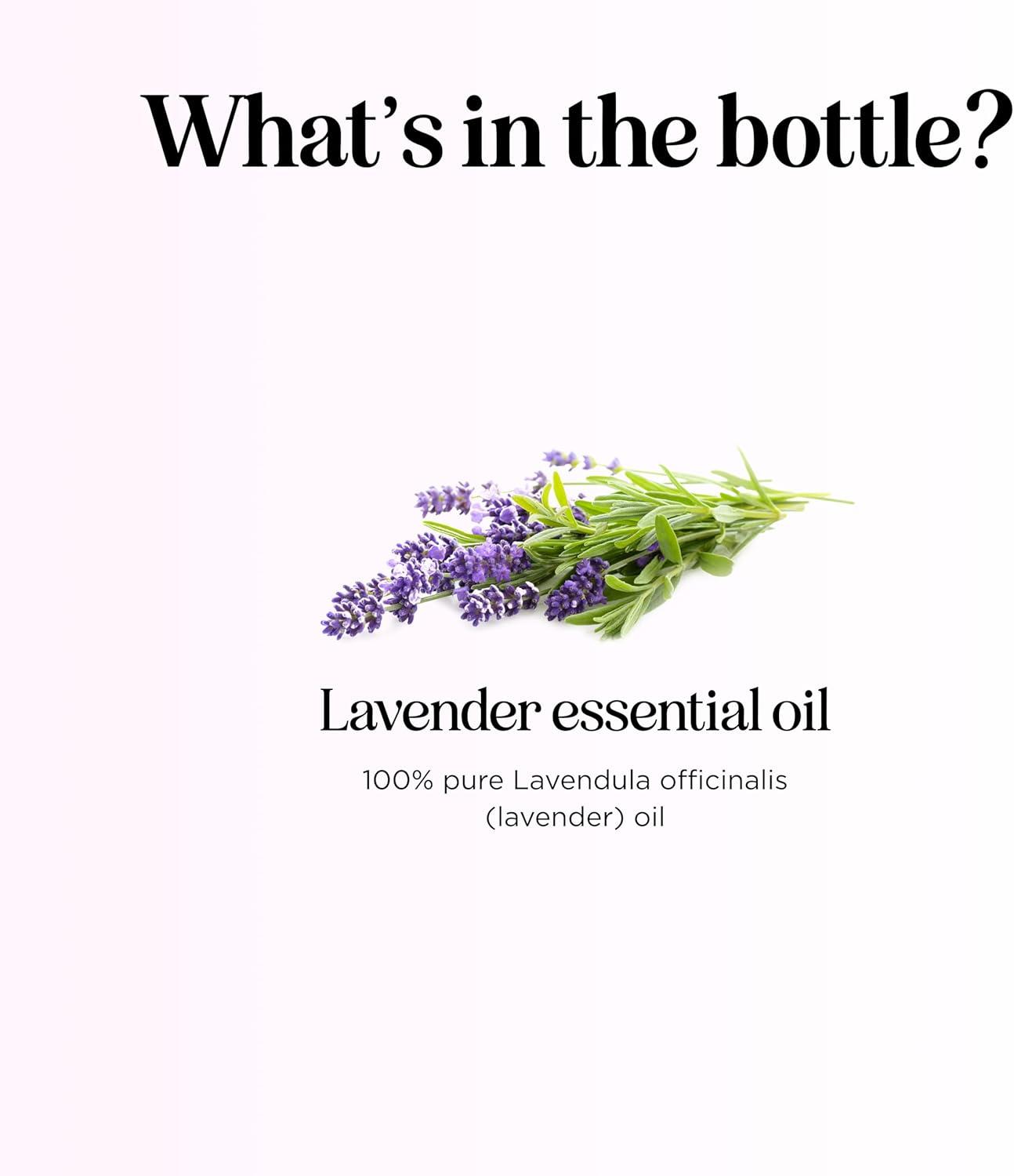 image:imageMint Essential Oil Blend for Diffuser Refreshing Mint Oil Diffuser Essential Oils with Cooling Peppermint Spearmint Bergamot and Eucalyptus Oils Pure Aromatherapy Oils for DiffuserLavender