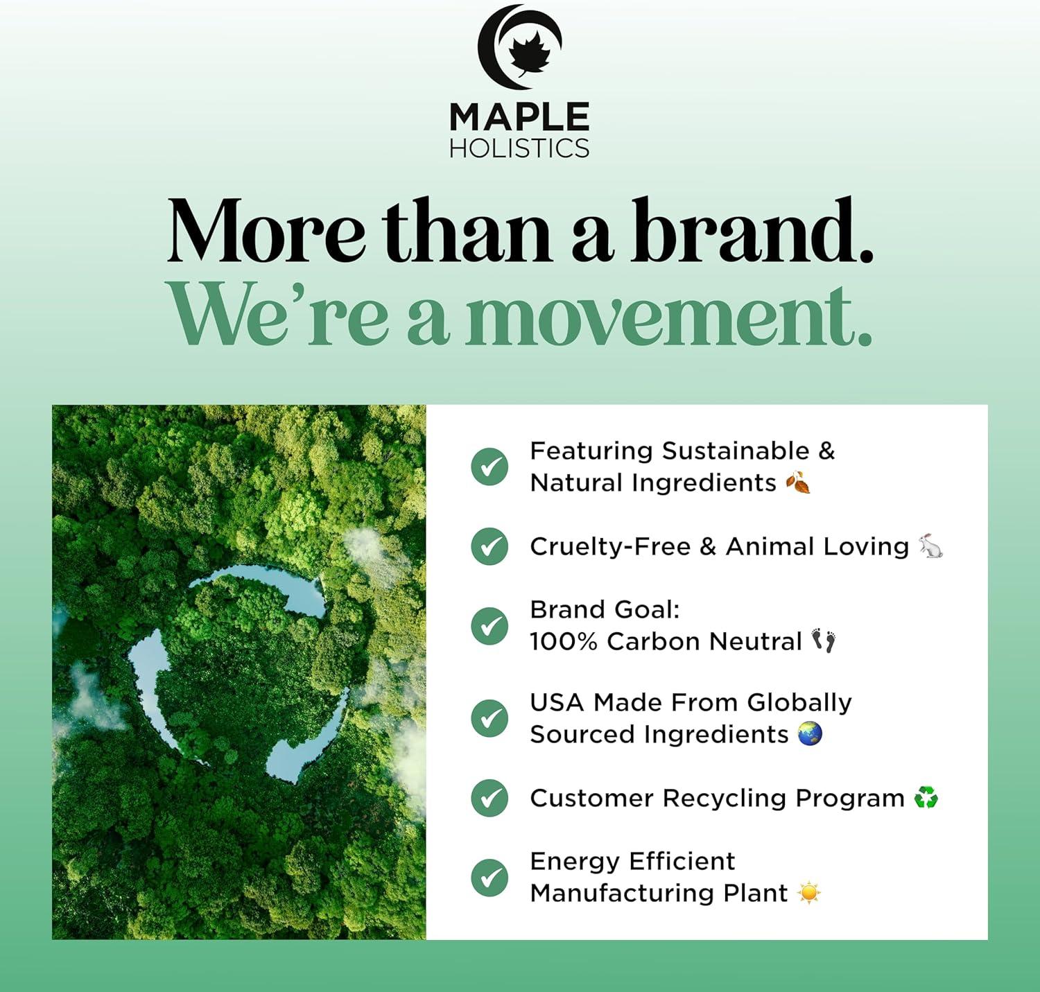 image:imageMint Essential Oil Blend for Diffuser Refreshing Mint Oil Diffuser Essential Oils with Cooling Peppermint Spearmint Bergamot and Eucalyptus Oils Pure Aromatherapy Oils for DiffuserEucalyptus