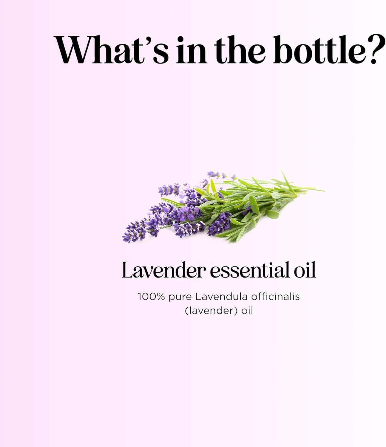 image:imageMint Essential Oil Blend for Diffuser Refreshing Mint Oil Diffuser Essential Oils with Cooling Peppermint Spearmint Bergamot and Eucalyptus Oils Pure Aromatherapy Oils for DiffuserLavender
