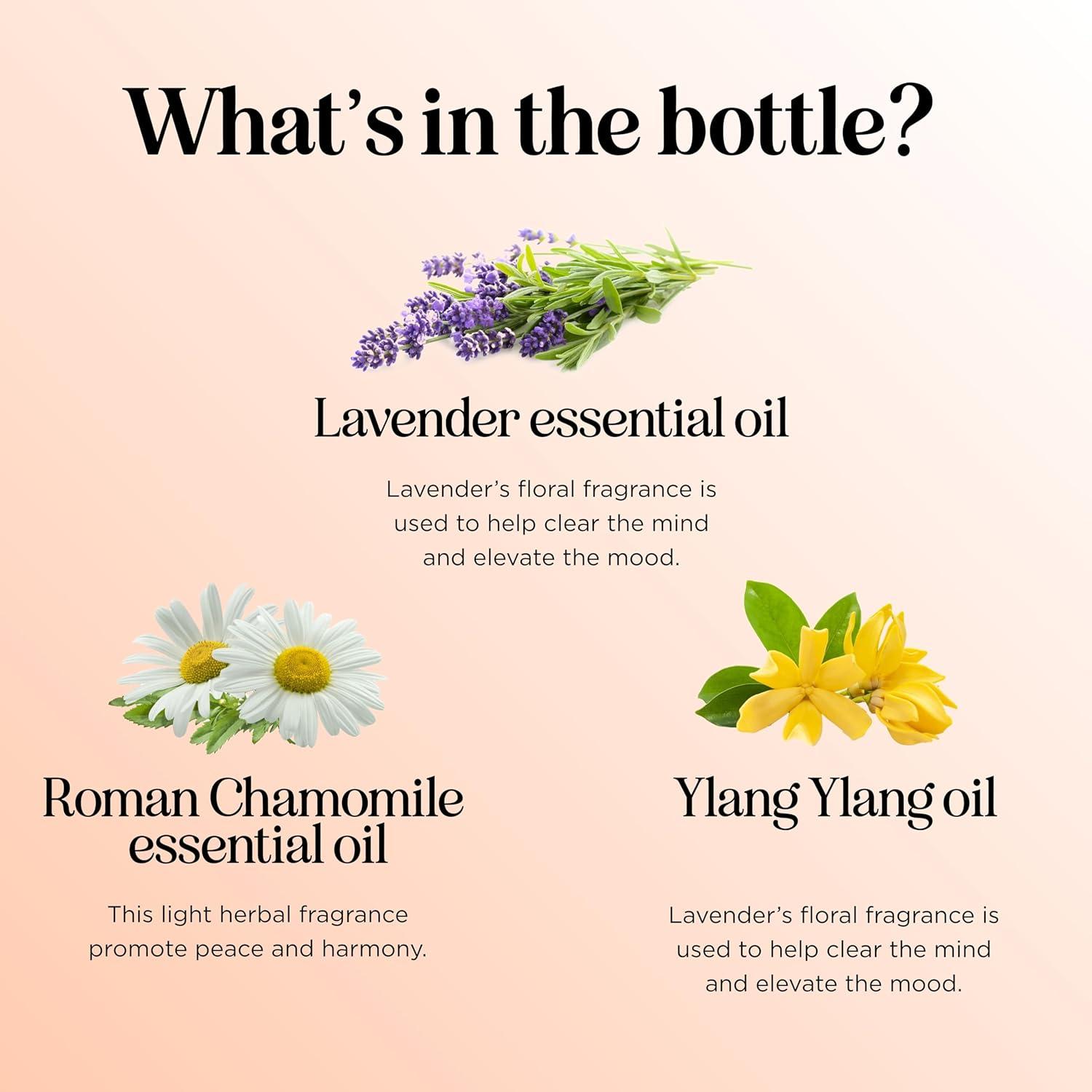 image:imageMint Essential Oil Blend for Diffuser Refreshing Mint Oil Diffuser Essential Oils with Cooling Peppermint Spearmint Bergamot and Eucalyptus Oils Pure Aromatherapy Oils for DiffuserRelax