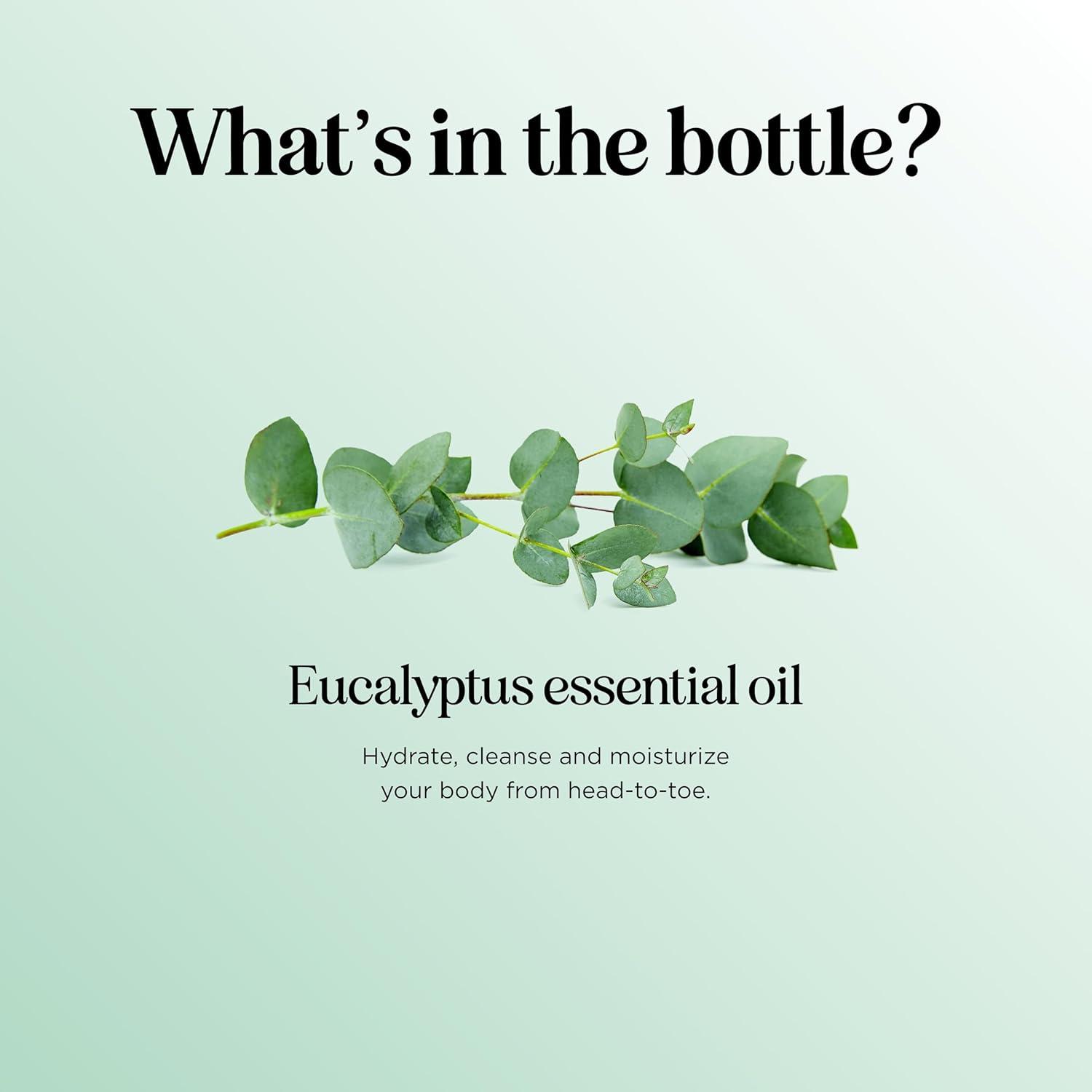 image:imageMint Essential Oil Blend for Diffuser Refreshing Mint Oil Diffuser Essential Oils with Cooling Peppermint Spearmint Bergamot and Eucalyptus Oils Pure Aromatherapy Oils for DiffuserEucalyptus
