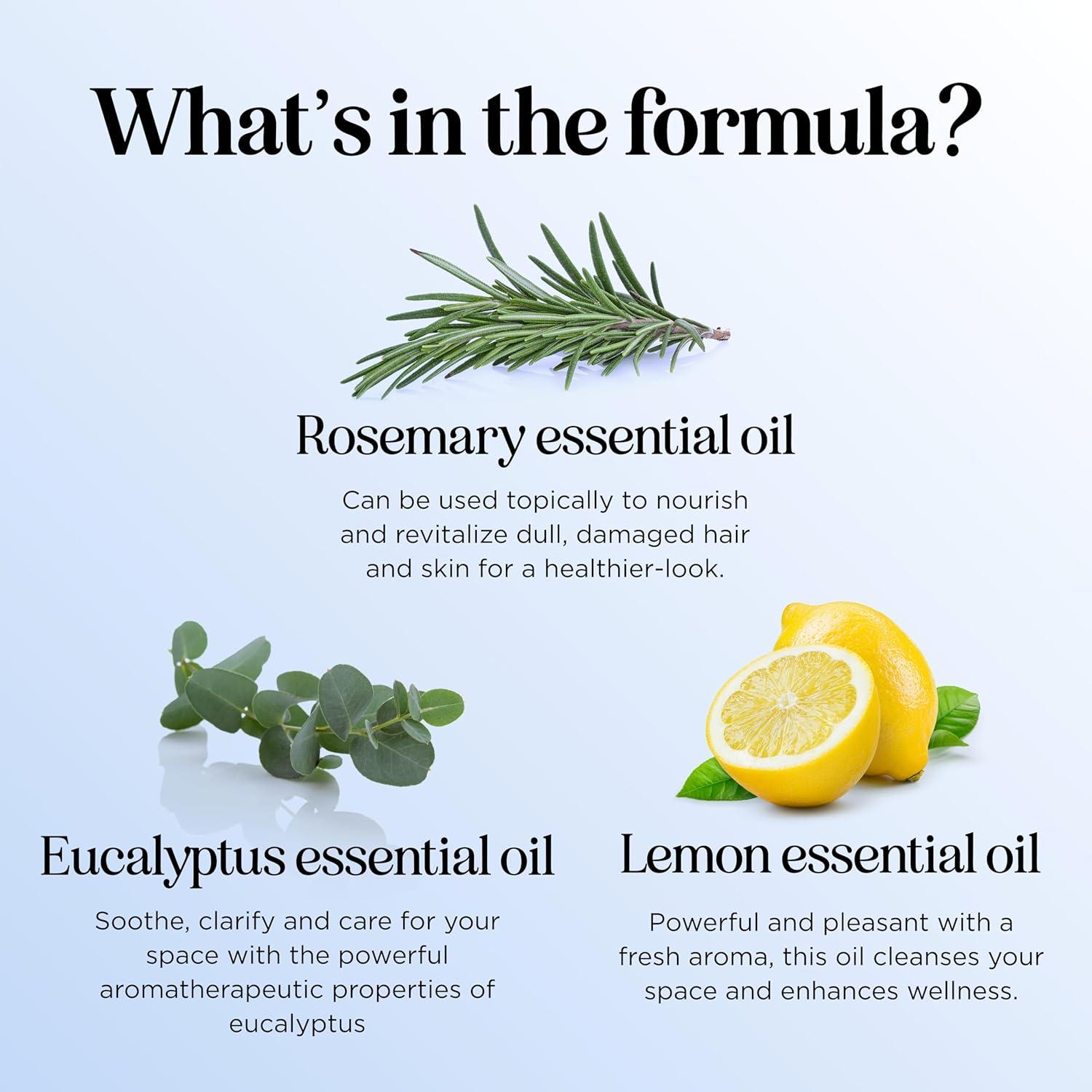 image:imageMint Essential Oil Blend for Diffuser Refreshing Mint Oil Diffuser Essential Oils with Cooling Peppermint Spearmint Bergamot and Eucalyptus Oils Pure Aromatherapy Oils for DiffuserDefend