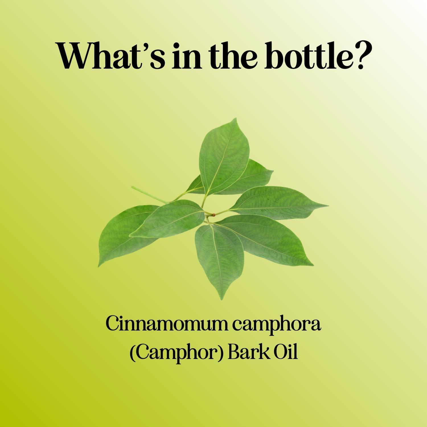 image:imageMint Essential Oil Blend for Diffuser Refreshing Mint Oil Diffuser Essential Oils with Cooling Peppermint Spearmint Bergamot and Eucalyptus Oils Pure Aromatherapy Oils for DiffuserCamphor