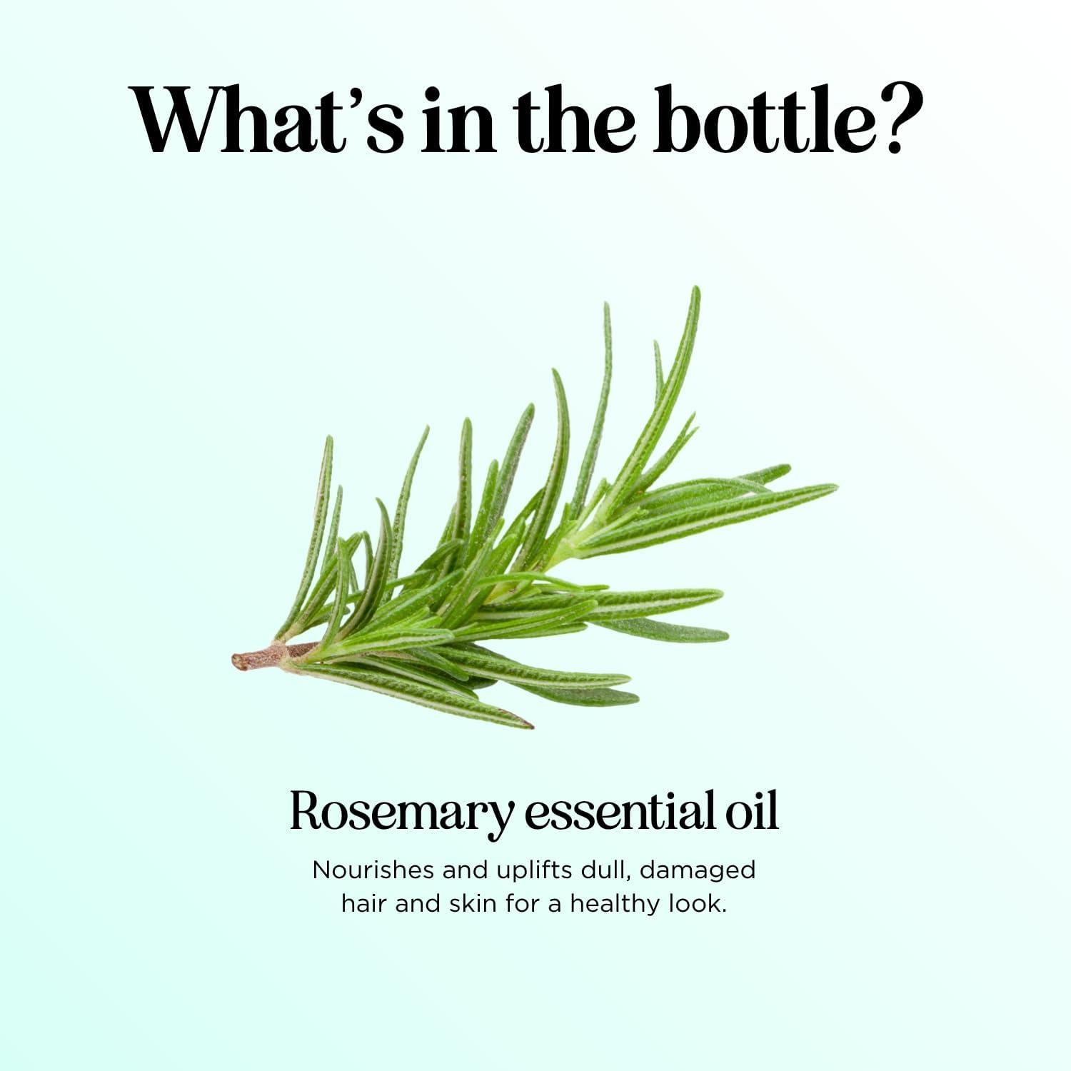 image:imageMint Essential Oil Blend for Diffuser Refreshing Mint Oil Diffuser Essential Oils with Cooling Peppermint Spearmint Bergamot and Eucalyptus Oils Pure Aromatherapy Oils for DiffuserRosemary