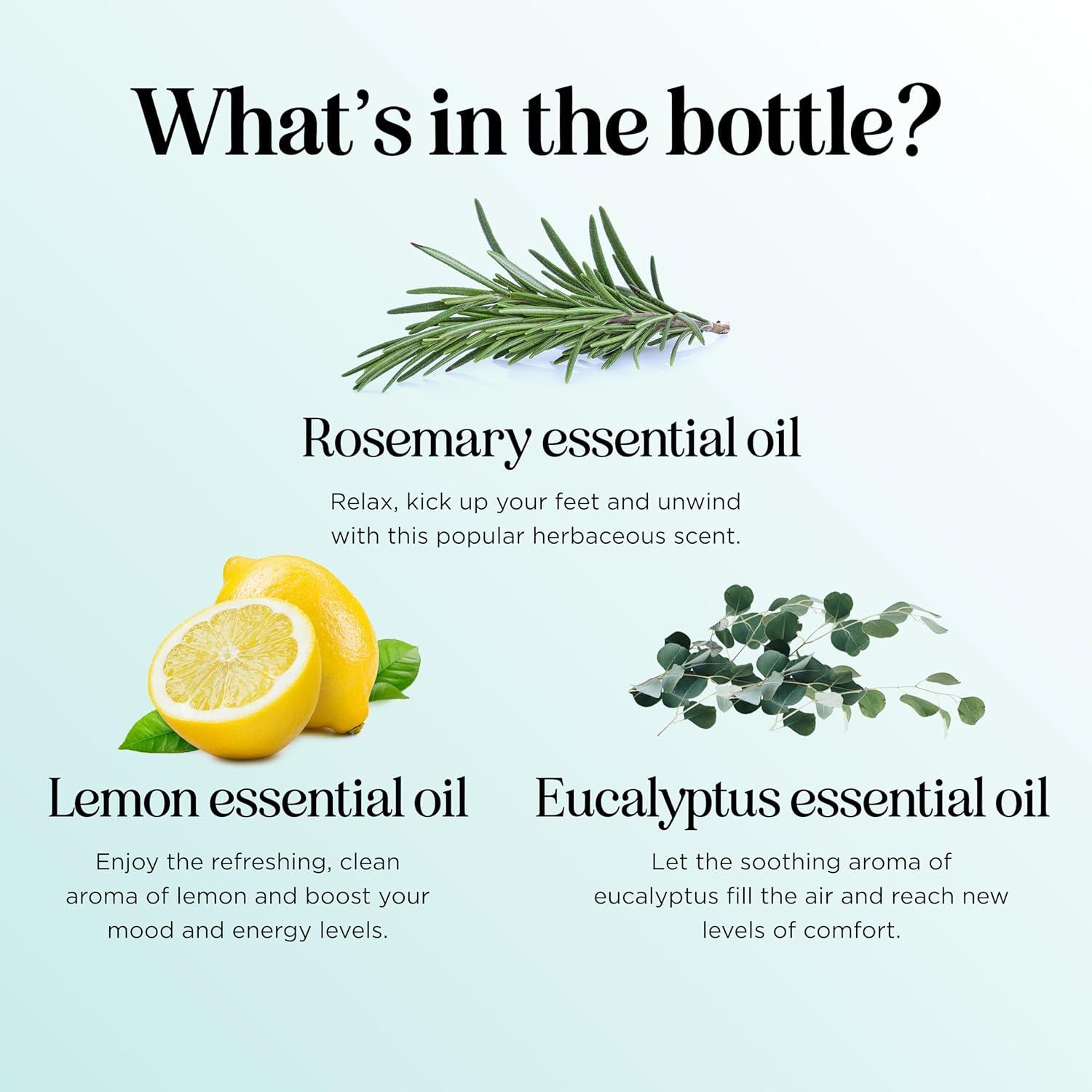 image:imageMint Essential Oil Blend for Diffuser Refreshing Mint Oil Diffuser Essential Oils with Cooling Peppermint Spearmint Bergamot and Eucalyptus Oils Pure Aromatherapy Oils for DiffuserProtect