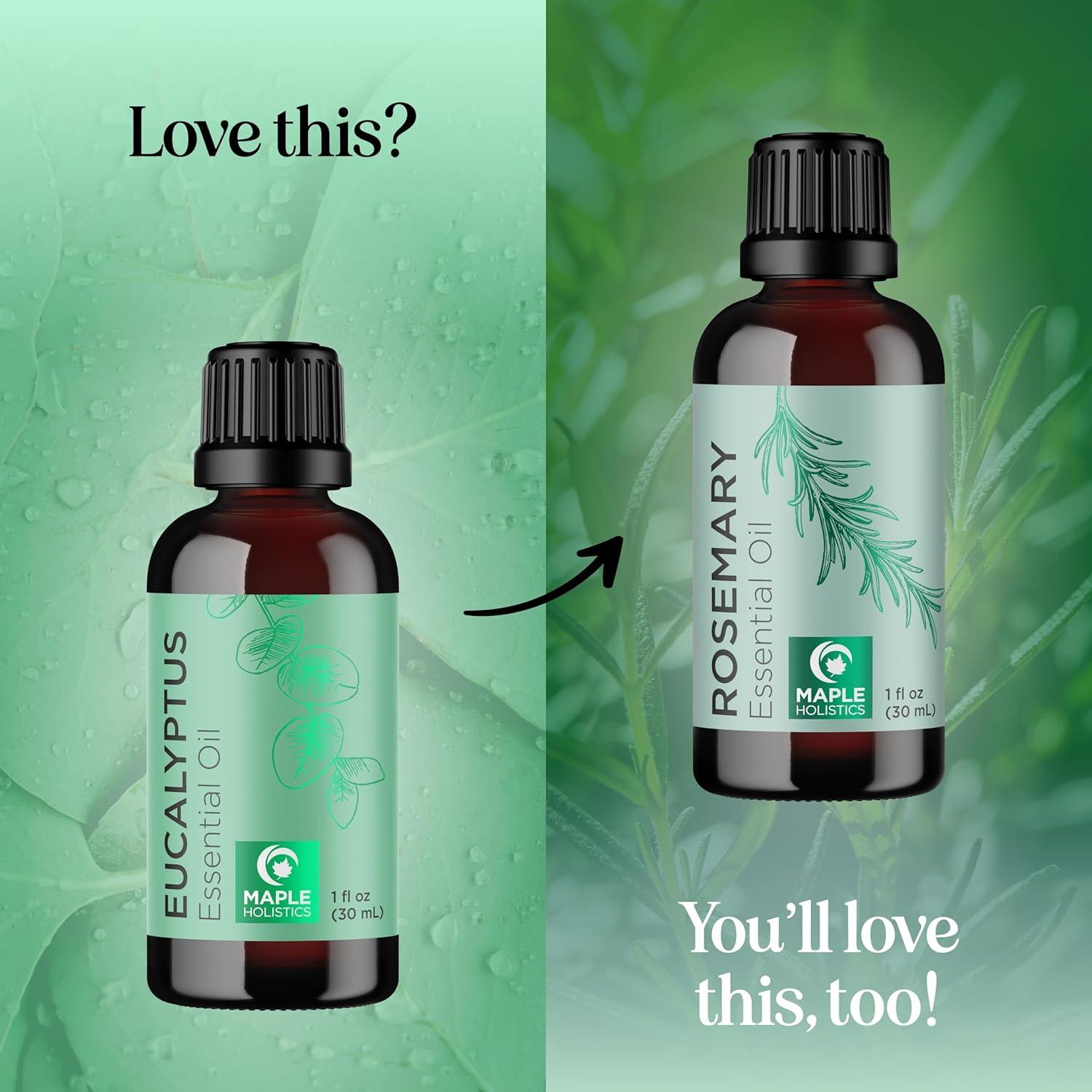 image:imageMint Essential Oil Blend for Diffuser Refreshing Mint Oil Diffuser Essential Oils with Cooling Peppermint Spearmint Bergamot and Eucalyptus Oils Pure Aromatherapy Oils for DiffuserEucalyptus