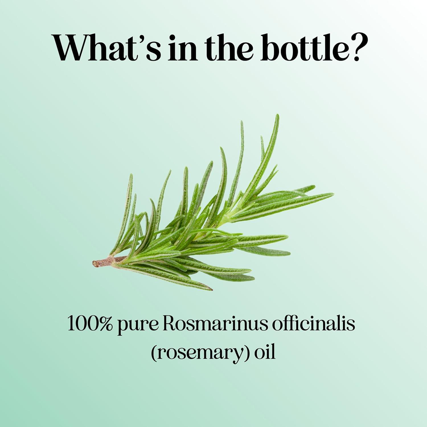 image:imageMint Essential Oil Blend for Diffuser Refreshing Mint Oil Diffuser Essential Oils with Cooling Peppermint Spearmint Bergamot and Eucalyptus Oils Pure Aromatherapy Oils for DiffuserRosemary