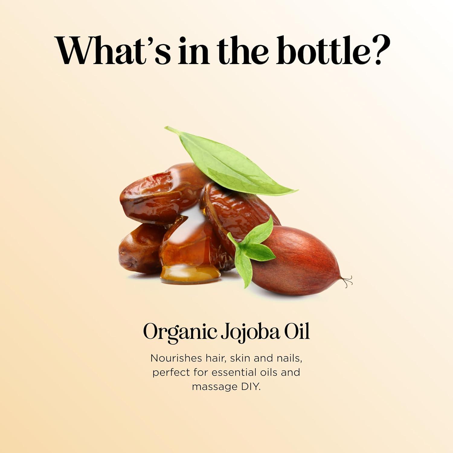 image:imagePumpkin Seed Oil Organic Certified 100 Pure Organic Pumpkin Seed Oil for Hair and Anti Aging Face Oil USDA Organic Hair Oil for Dry Hair and Volume Virgin Cold Pressed amp Unrefined 16ozJojoba
