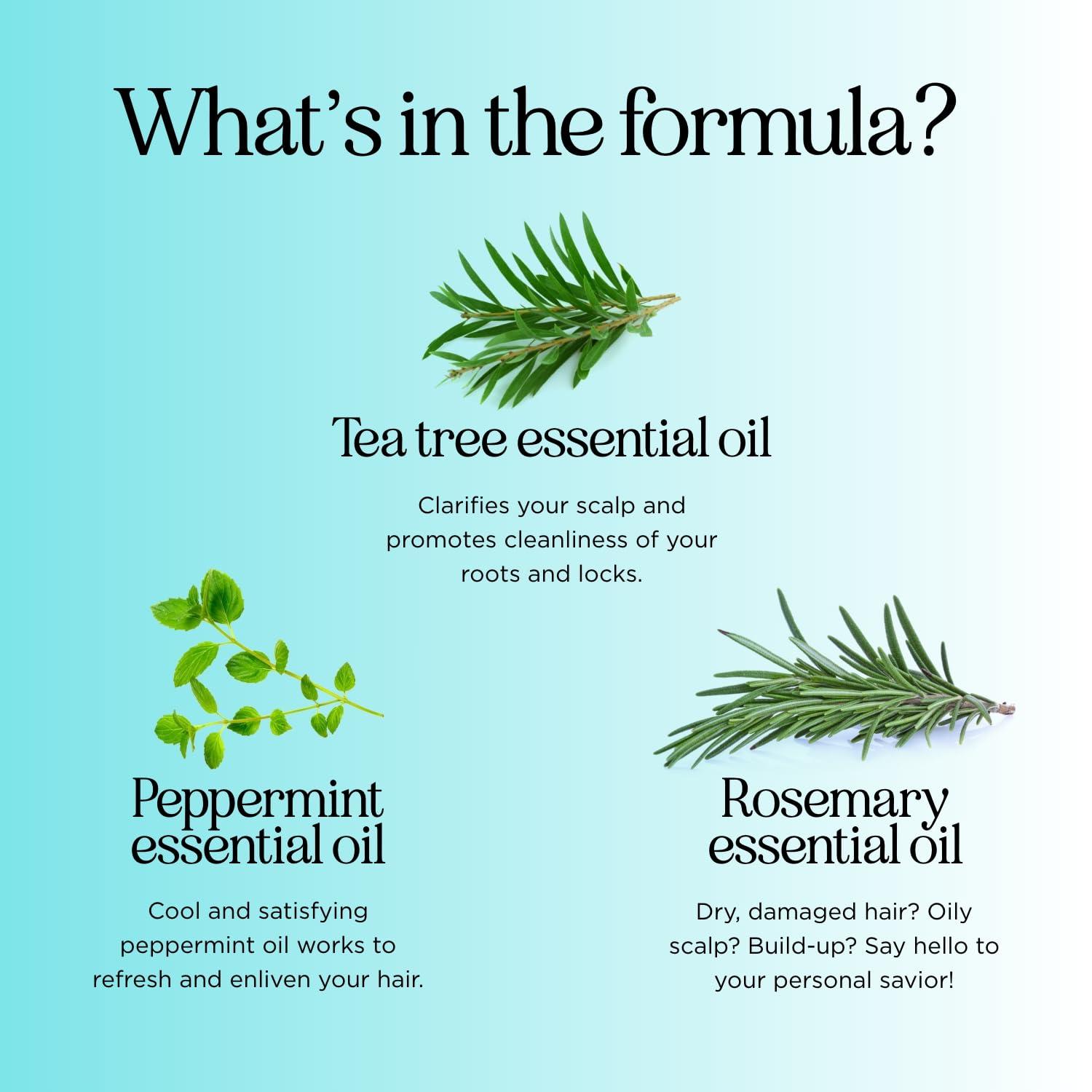 image:imageRosemary Tea Tree Mint Shampoo Clarifying Shampoo for Build Up and Flakes with Deep Cleansing Peppermint Oil and Tea Tree Essential Oil for Dry Scalp Treatment Paraben amp Sulfate Free 8oz16 Fl Oz Pack of 1