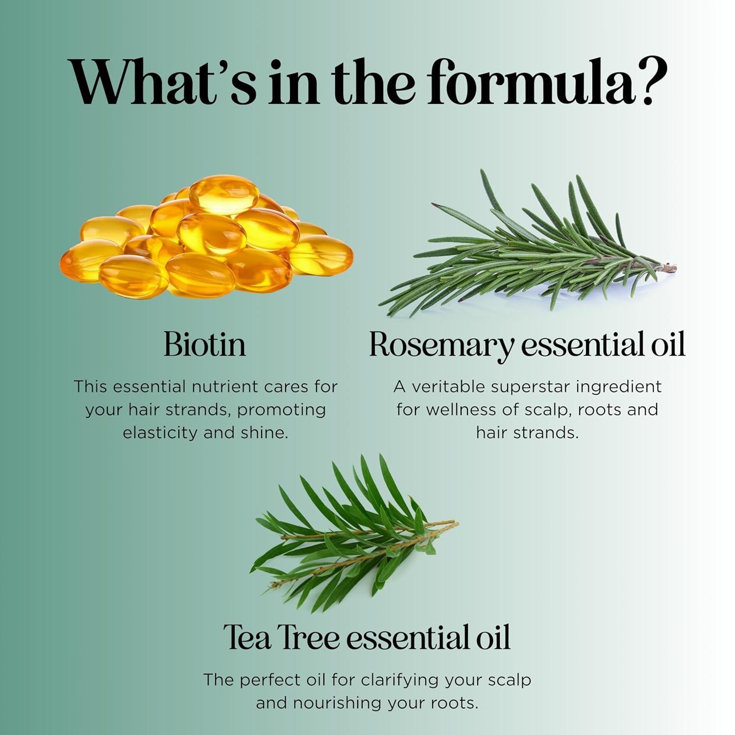 image:imageRosemary and Biotin Shampoo for Thinning Hair Vegan Volumizing Shampoo for Fine Hair with B Vitamins Argan Oil amp Tea Tree Essential Oil Paraben Silicone and Sulfate Free Vegan Formula 2 PackRosemary