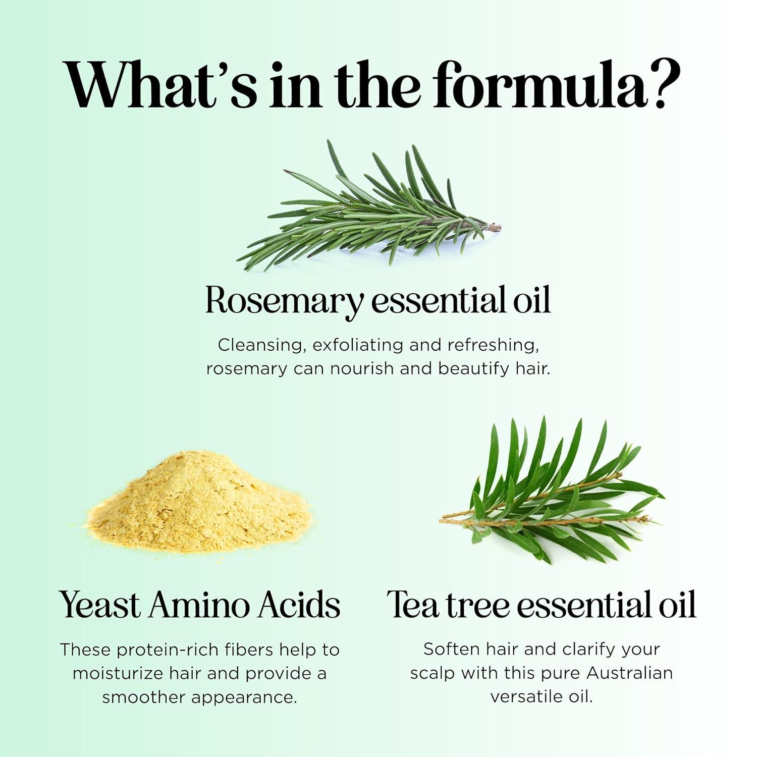 image:imageSulfate Free Hard Water Shampoo and Conditioner Hard Water Hair Treatments of Product and Minerals with Five Mint Essential Oils for Replenishing Hydration and Hair Shine Paraben amp Cruelty FreeTea Tree Degrease