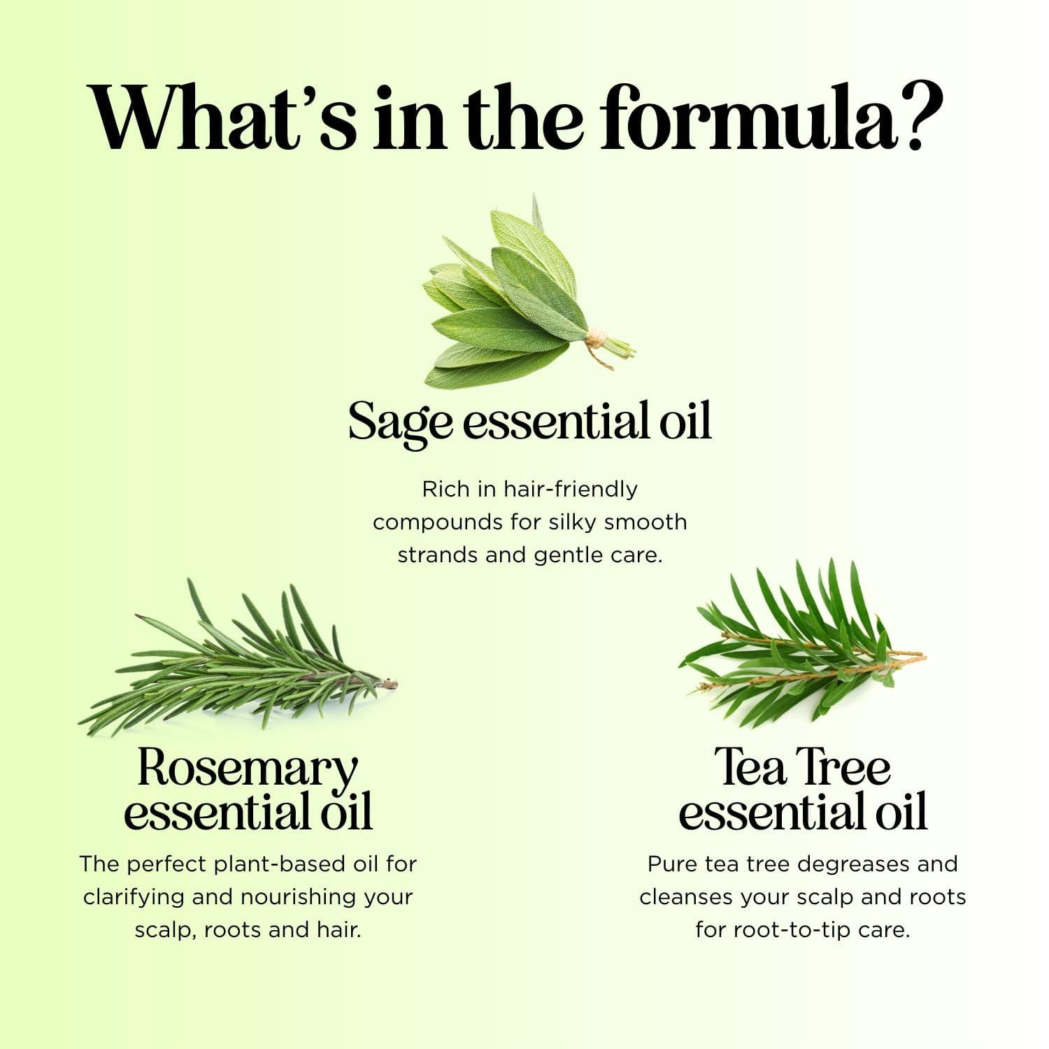 image:imageSulfate Free Shampoo and Conditioner Set Tea Tree Sage and Rosemary Shampoo and Conditioner for Dry Flaky Scalp Care Deep Cleansing Color Safe Shampoo and Conditioner for Damaged Dry Hair CareTea Tree Sage