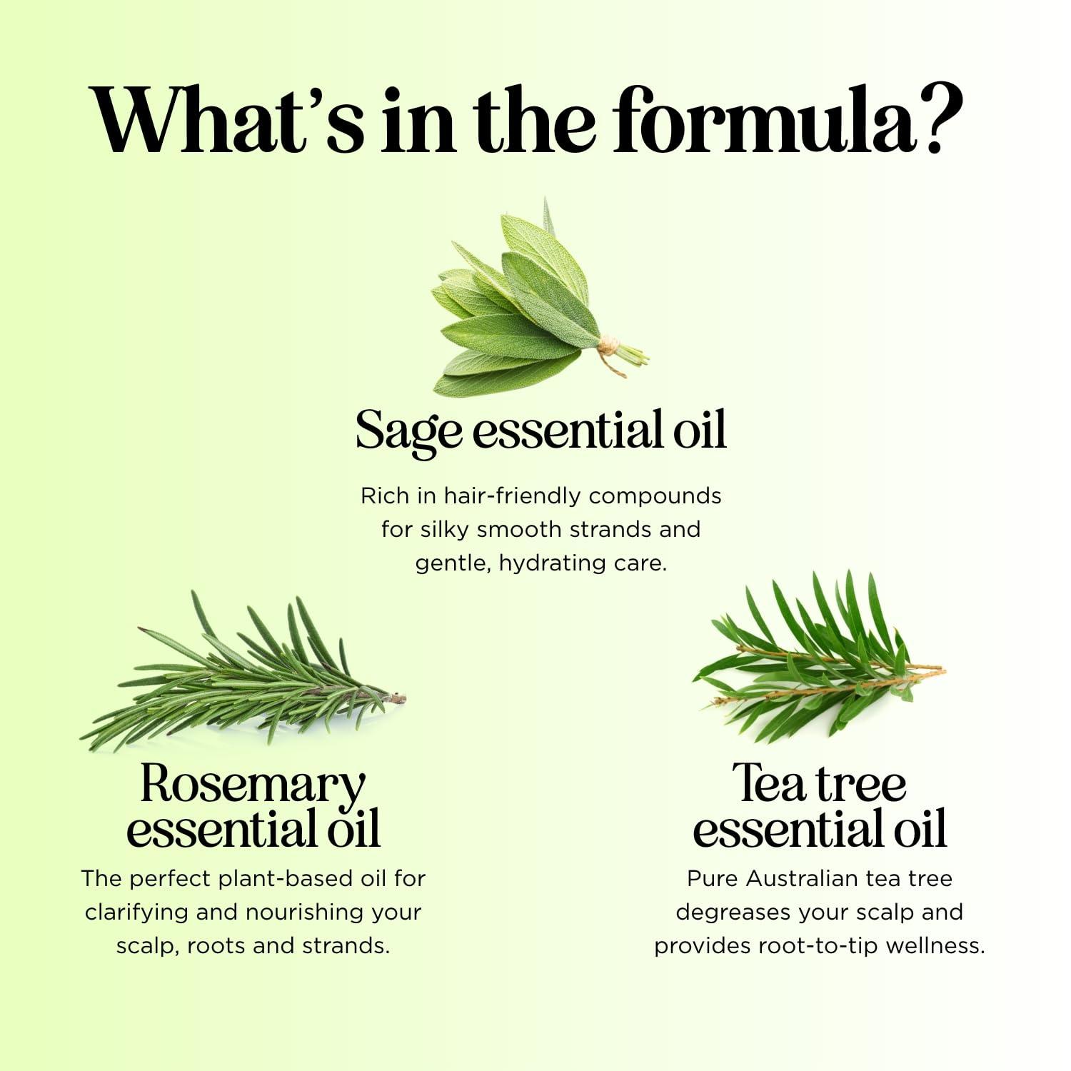 image:imageSulfate Free Shampoo and Conditioner Set Tea Tree Sage and Rosemary Shampoo and Conditioner for Dry Flaky Scalp Care Deep Cleansing Color Safe Shampoo and Conditioner for Damaged Dry Hair CareTea Tree Sage