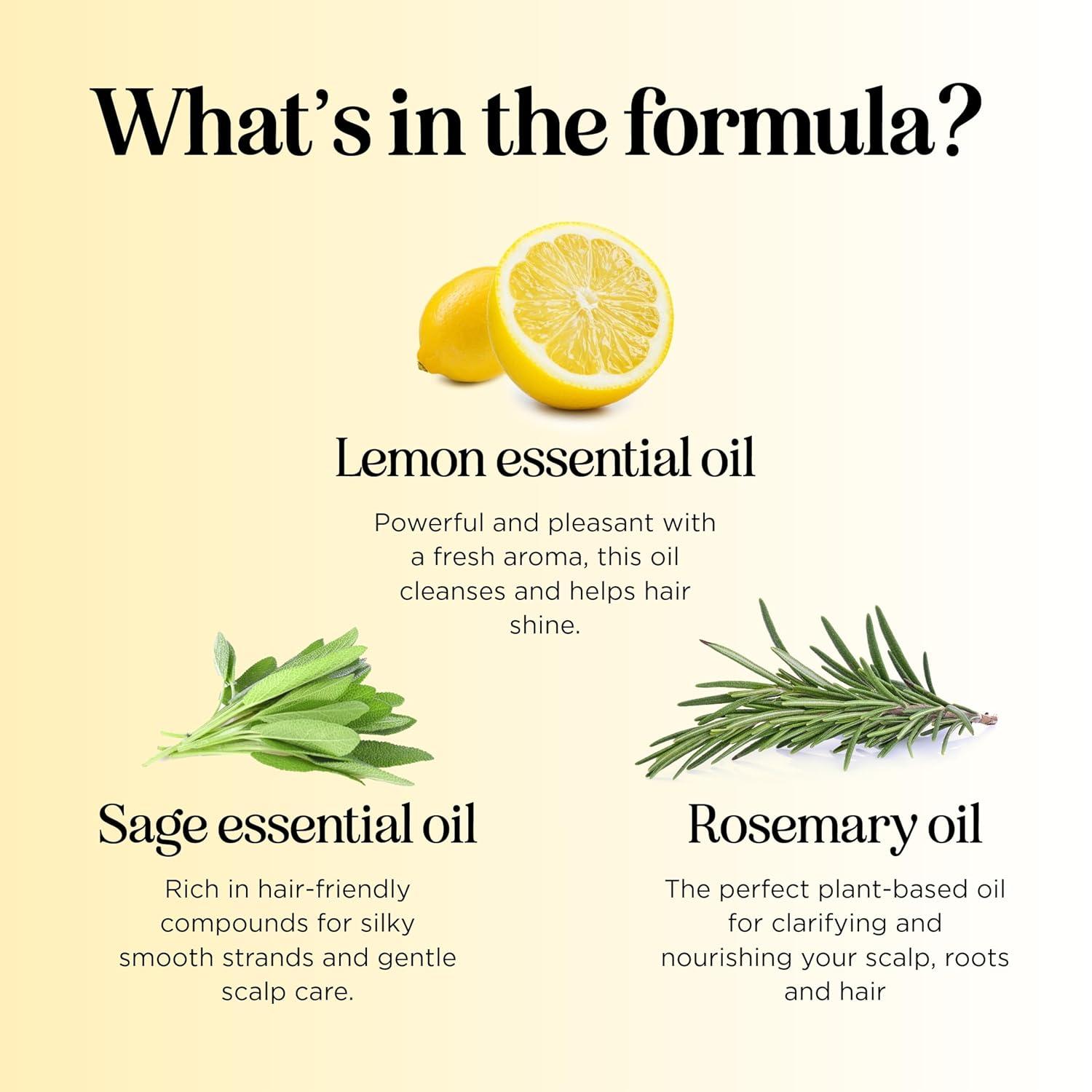 image:imageSulfate Free Shampoo for Oily Hair Lemon Sage Clarifying Shampoo for Build Up and Oily Scalp Care with Rosemary Essential Oil Deep Cleansing Rosemary Shampoo for Greasy Hair and Product Build UpLemon