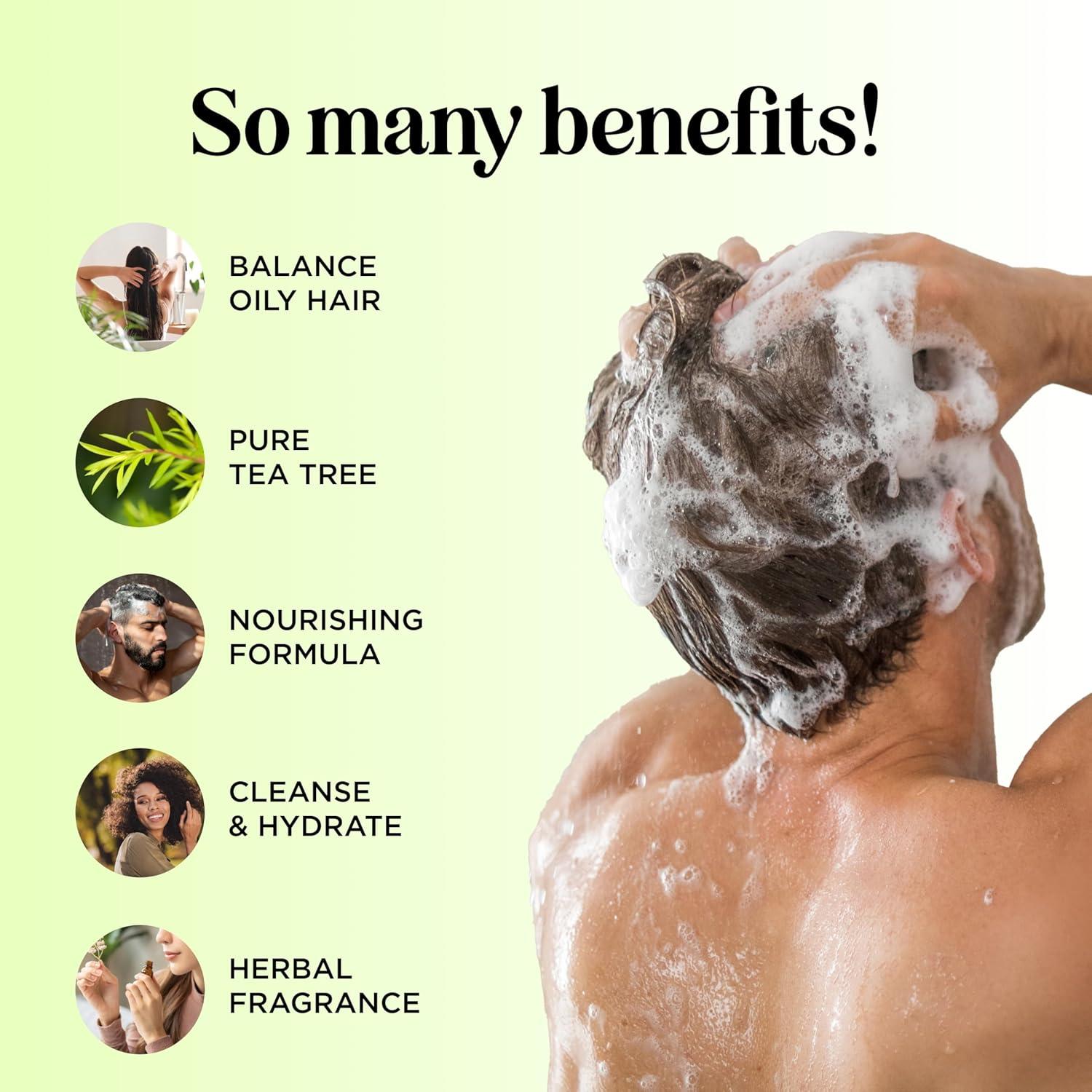 image:imageTea Tree Shampoo and Conditioner Set Sulfate Free Clarifying Shampoo and Conditioner for Oily Hair amp Scalp Care with Australian Tea Tree Oil Complete Dry Scalp Treatment for Build Up 16 Fl OzTea Tree Oil
