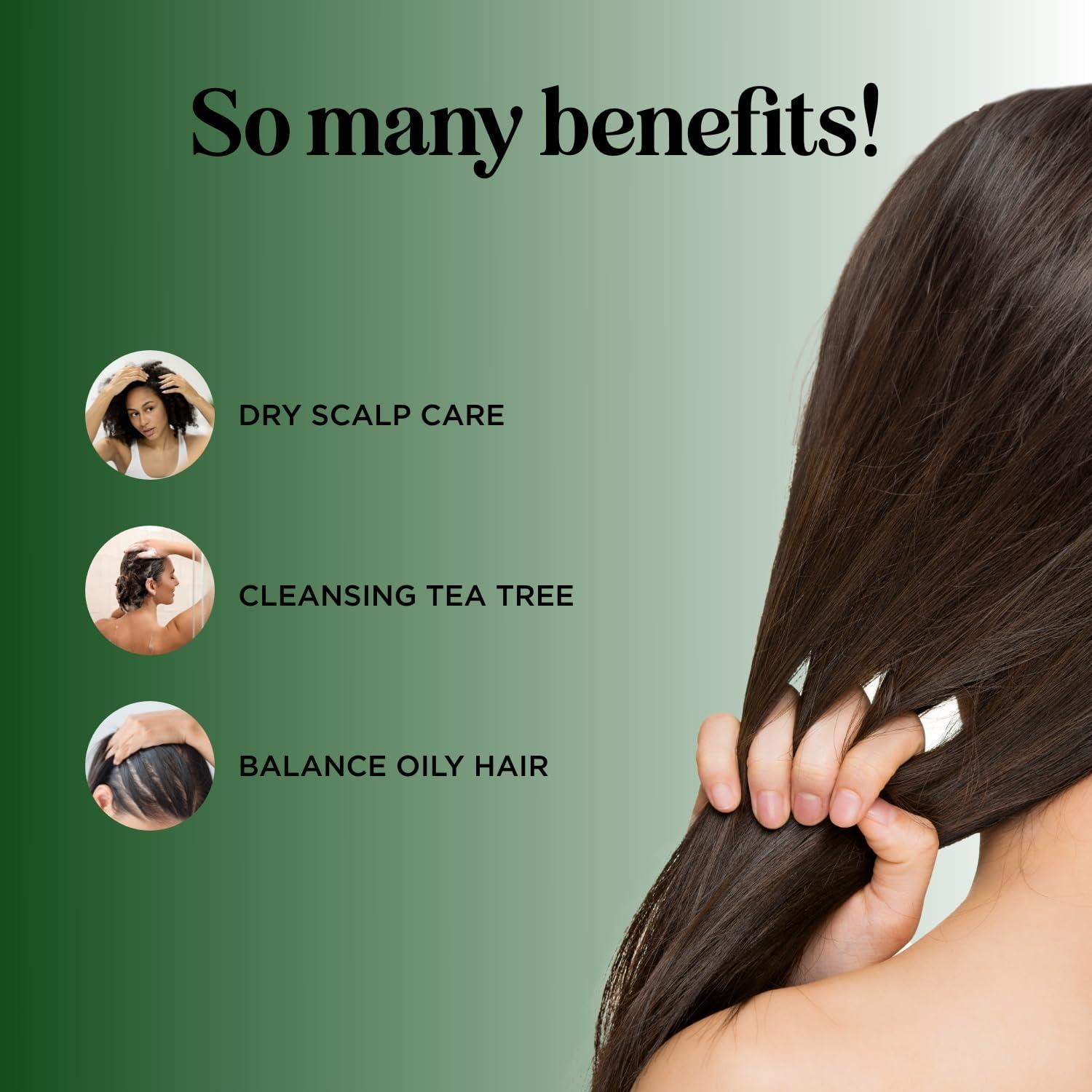 image:imageTea Tree Shampoo and Conditioner Set Sulfate Free Clarifying Shampoo and Conditioner for Oily Hair amp Scalp Care with Australian Tea Tree Oil Complete Dry Scalp Treatment for Build Up 16 Fl OzTea Tree Oil