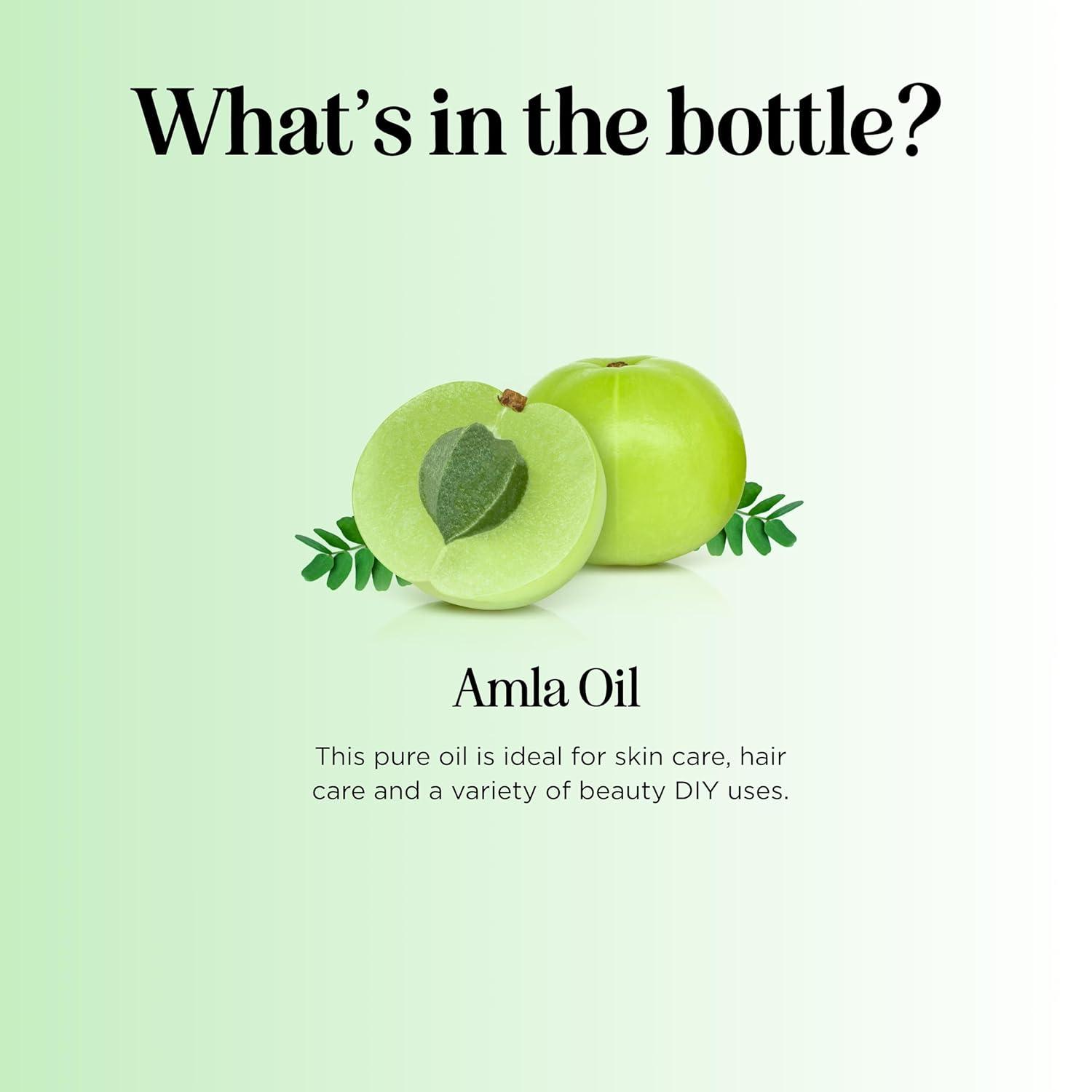 image:imageUSDA Organic Sweet Almond Oil Pure Cold Pressed Organic Almond Oil for Skin Hair and Nails Moisturizing Organic Body Oil for Women and Men plus Carrier Oil for Essential Oils Mixing 16ozAmla