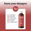 Argan Oil Shampoo for Dry Hair – Sulfate Free Shampoo for Damaged Hair and Frizz with Argan Oil for Hair – Volumizing Shampoo for Hair Shine and Volume Featuring Ultra Moisturizing Natural Oils(Vanilla Honey)