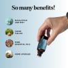 Breathe Essential Oil for Diffuser – Invigorating and Refreshing Breathe Essential Oil Blend with Eucalyptus Peppermint Tea Tree and Mint for Diffusers for Home and Shower Aromatherapy (1 Fl Oz)(Breathe)