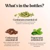 Breathe Essential Oil for Diffuser – Invigorating and Refreshing Breathe Essential Oil Blend with Eucalyptus Peppermint Tea Tree and Mint for Diffusers for Home and Shower Aromatherapy (1 Fl Oz)(Fall Set)