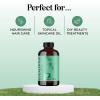 Breathe Essential Oil for Diffuser – Invigorating and Refreshing Breathe Essential Oil Blend with Eucalyptus Peppermint Tea Tree and Mint for Diffusers for Home and Shower Aromatherapy (1 Fl Oz)(Eucalyptus)