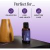 Breathe Essential Oil for Diffuser – Invigorating and Refreshing Breathe Essential Oil Blend with Eucalyptus Peppermint Tea Tree and Mint for Diffusers for Home and Shower Aromatherapy (1 Fl Oz)(Snooze)