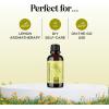 Breathe Essential Oil for Diffuser – Invigorating and Refreshing Breathe Essential Oil Blend with Eucalyptus Peppermint Tea Tree and Mint for Diffusers for Home and Shower Aromatherapy (1 Fl Oz)(Lemongrass)