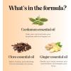 Breathe Essential Oil for Diffuser – Invigorating and Refreshing Breathe Essential Oil Blend with Eucalyptus Peppermint Tea Tree and Mint for Diffusers for Home and Shower Aromatherapy (1 Fl Oz)(Pumpkin Spice)