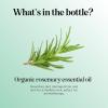 Certified Organic Rosemary Oil for Hair – Extra Large 100% Pure USDA Organic Rosemary Essential Oil for Hair Skin and Nails – Oil for Dry Scalp Treatment and Enhanced Volume and Shine(Rosemary)