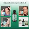 Certified Organic Rosemary Oil for Hair – Extra Large 100% Pure USDA Organic Rosemary Essential Oil for Hair Skin and Nails – Oil for Dry Scalp Treatment and Enhanced Volume and Shine(Rosemary)