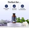 Clarify Headache Essential Oil Blend – Aromatherapy Blend Essential Oils for Diffusers for Home and Travel for Tension Headaches and Fogginess with Refreshing Peppermint Rosemary and Lavender Oils(Dream)