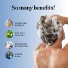 Cleansing Shampoo for Dry Scalp Care – Cedarwood and Rosemary Shampoo for Men and Flaky Scalp Moisturizer with Tea Tree Oil for Oily Scalp – Deep Clarifying Shampoo for Build Up with Rosemary Oil(Mint)