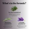 Cleansing Shampoo for Dry Scalp Care – Cedarwood and Rosemary Shampoo for Men and Flaky Scalp Moisturizer with Tea Tree Oil for Oily Scalp – Deep Clarifying Shampoo for Build Up with Rosemary Oil(Tea Tree)