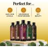 Cold Pressed Sweet Almond Oil – Pure Sweet Almond Oil for Skin Care and Moisturizing Body Oil for Men and Women – Carrier Oil for Essential Oils Mixing for Hair Skin and Nails DIY Beauty Products 16oz(Carrier Oil Set)