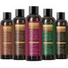 Cold Pressed Sweet Almond Oil – Pure Sweet Almond Oil for Skin Care and Moisturizing Body Oil for Men and Women – Carrier Oil for Essential Oils Mixing for Hair Skin and Nails DIY Beauty Products 16oz(Carrier Oil Set)