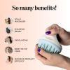 Hair Shampoo Brush and Scalp Exfoliator – Soft Silicone Scalp Massager Hair Growth Stimulator for Wet or Dry Hair – In Shower Scalp Scrubber for Dandruff Removal Made with Recycled Wheat Straw – Blue(Green)