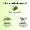 Maple Holistics Tea Tree Oil Shampoo Sulfate Free – Deep Cleansing Vegan Tea Tree Shampoo for Oily Hair and Scalp – Daily for Build up with Rosemary Essential Oil for All Hair Types 25 Fl Oz(Tea Tree)