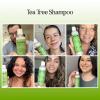 Maple Holistics Tea Tree Oil Shampoo Sulfate Free – Deep Cleansing Vegan Tea Tree Shampoo for Oily Hair and Scalp – Daily for Build up with Rosemary Essential Oil for All Hair Types 25 Fl Oz(Tea Tree)