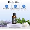 Mint Essential Oil Blend for Diffuser – Refreshing Mint Oil Diffuser Essential Oils with Cooling Peppermint Spearmint Bergamot and Eucalyptus Oils – Pure Aromatherapy Oils for Diffuser(Defend)